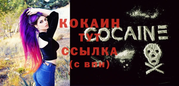 mdma Няндома