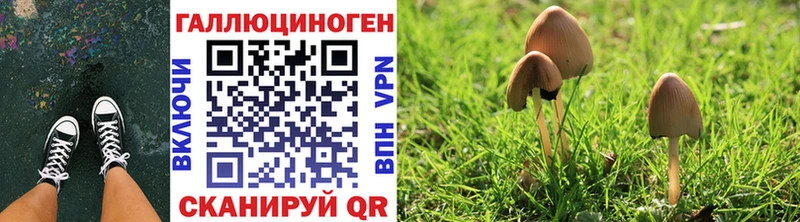 Псилоцибиновые грибы Cubensis  где купить наркотик  Фролово 
