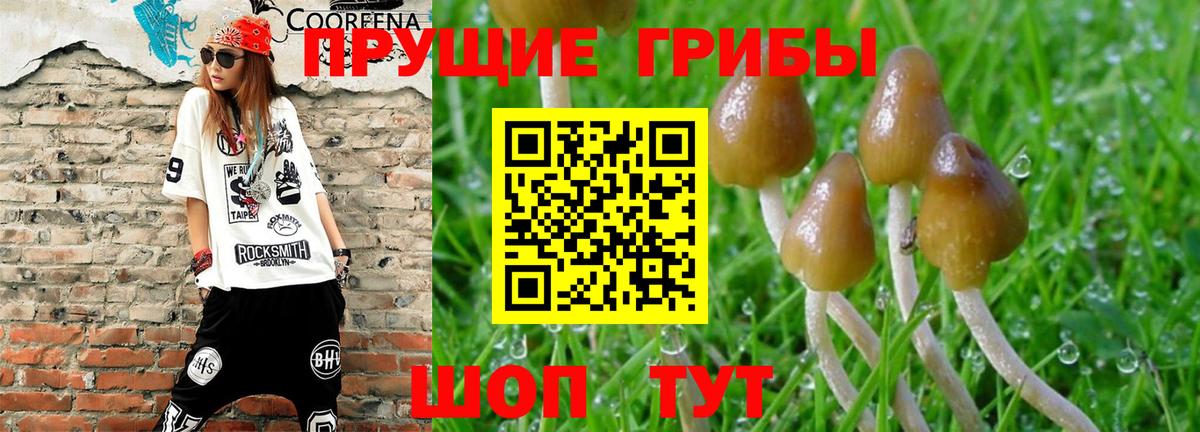 Псилоцибиновые грибы GOLDEN TEACHER  Галлюциногенные грибы GOLDEN TEACHER  Вход с VPN  Фролово 